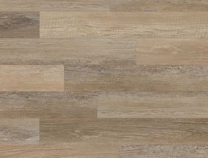 COREtec Plus 7" Wide Broad Spar Oak